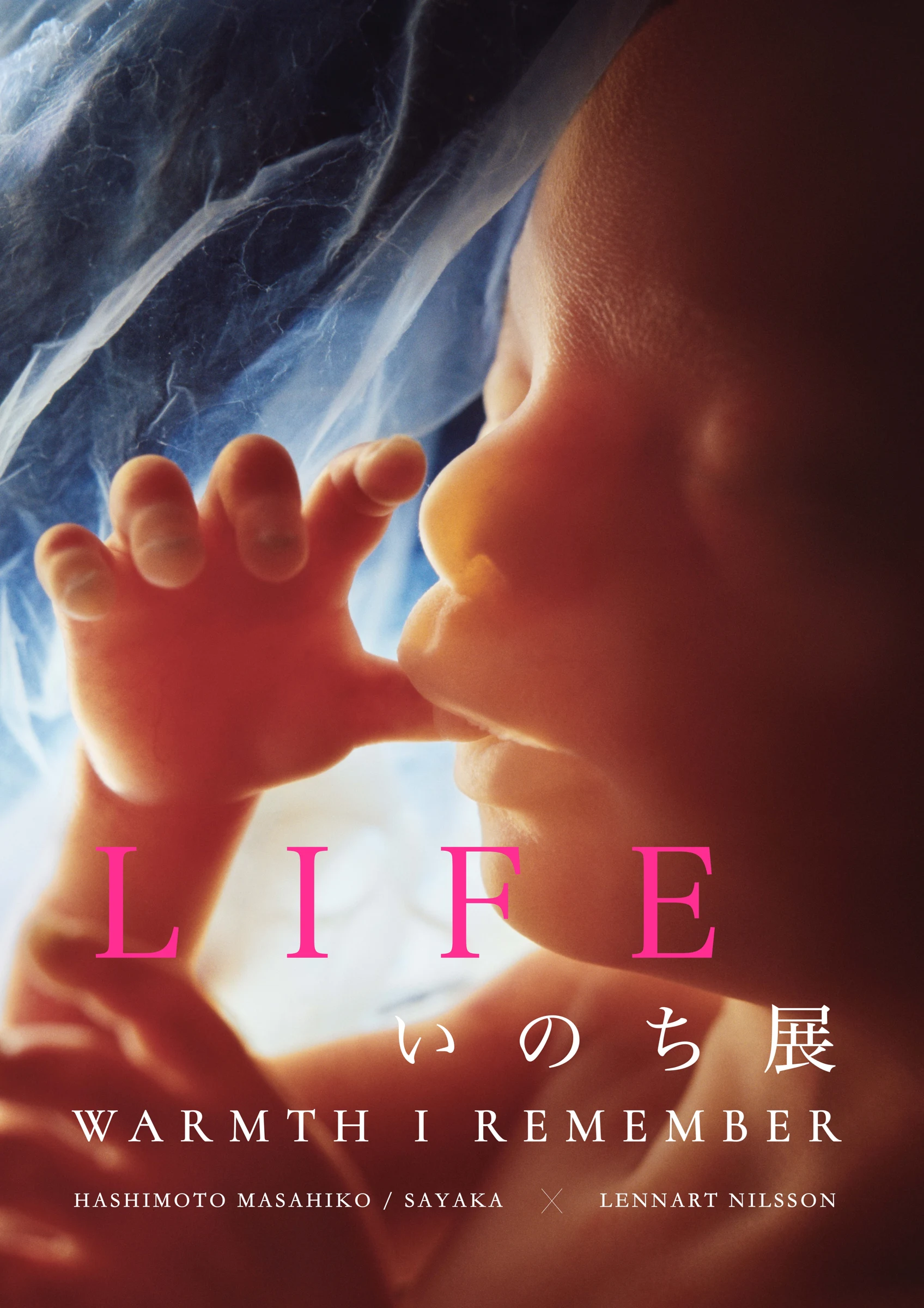 当時の展示・作品の記録写真