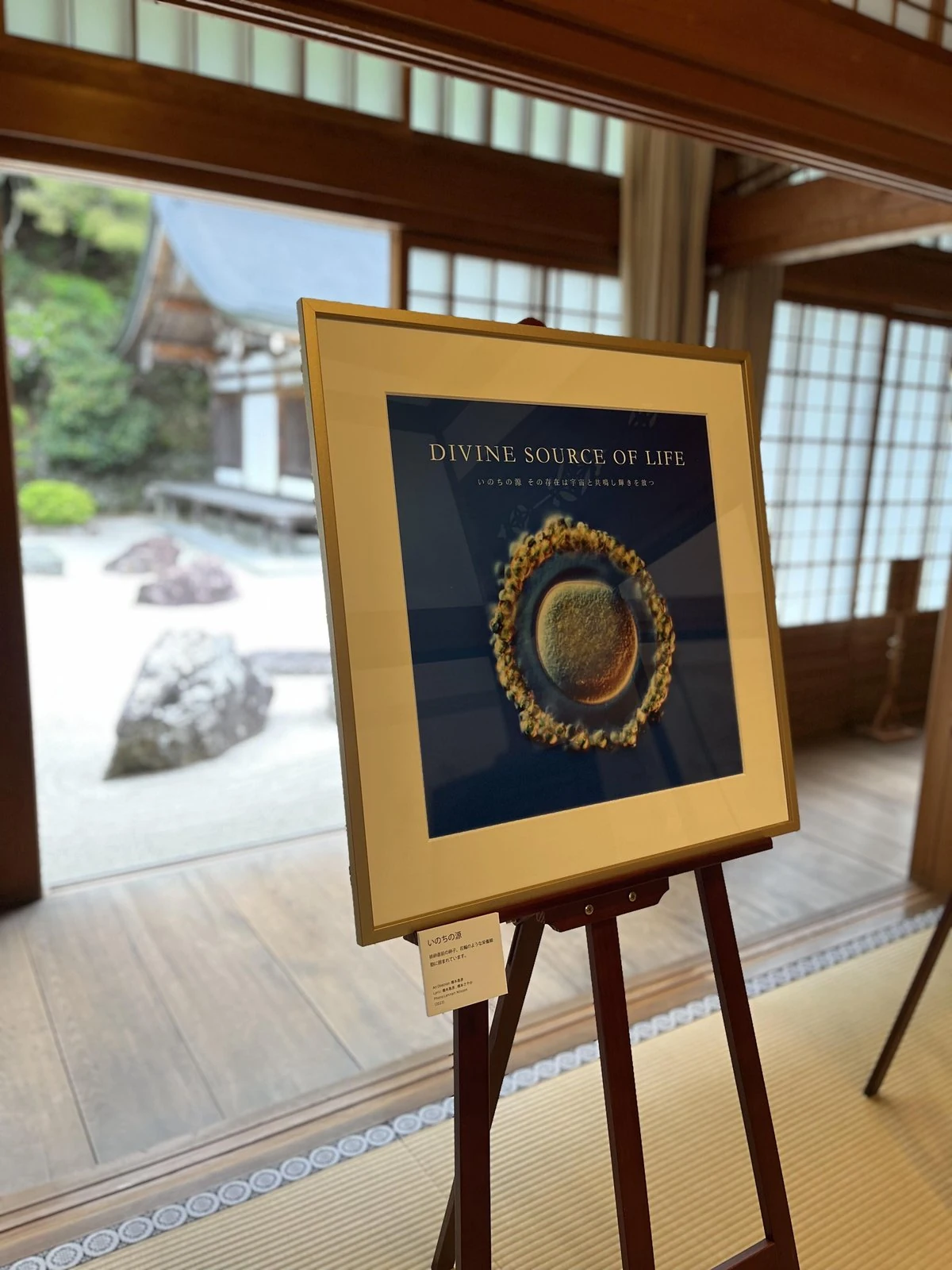 【いのち展】DIVINE SOURCE OF LIFE 「いのちの源」Size:60cm×60cm