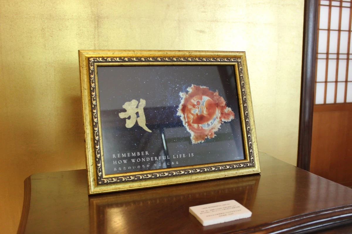 【いのち展】HOW WONDERFUL LIFE IS Size:A4