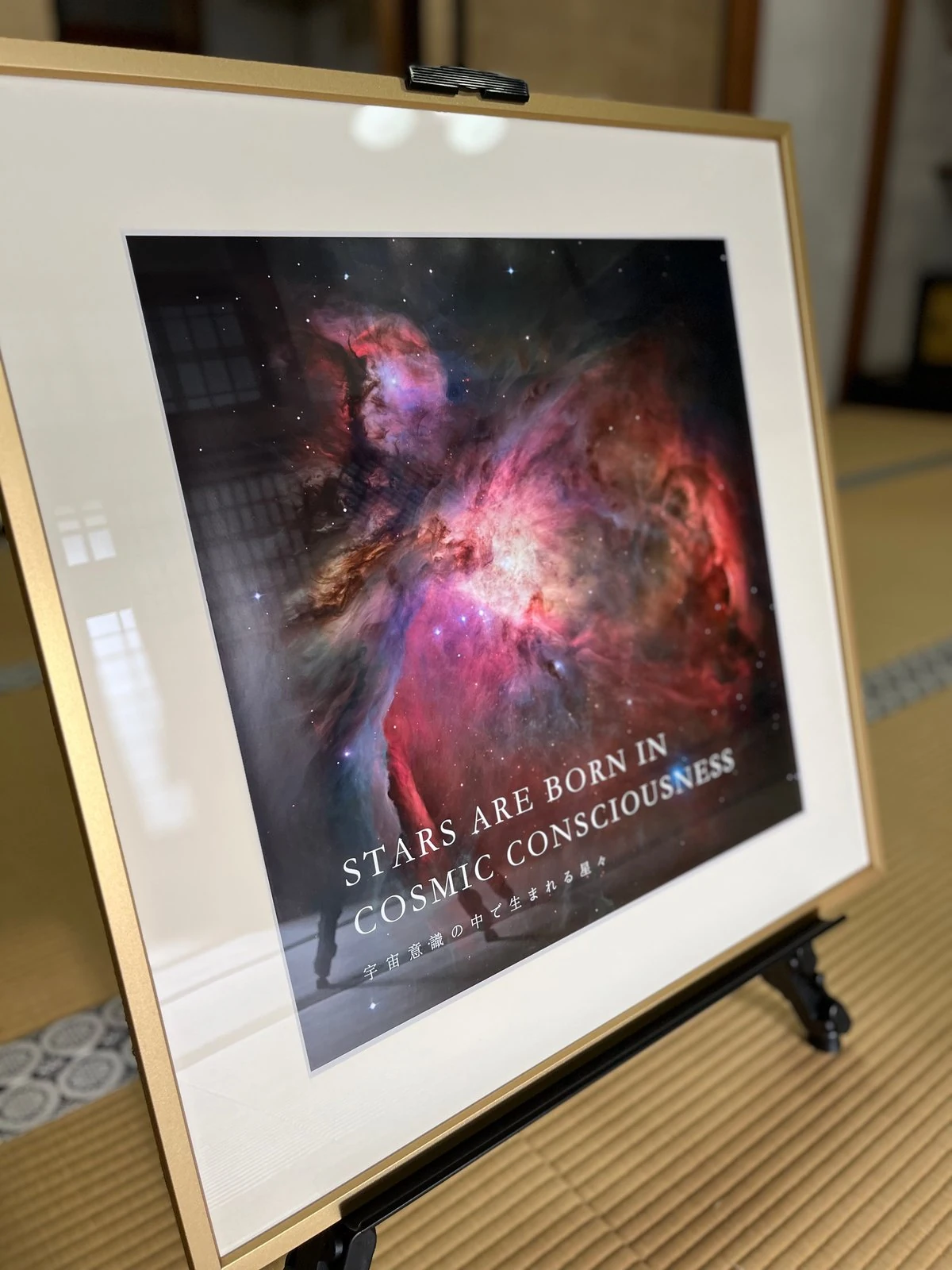 STARS ARE BORN