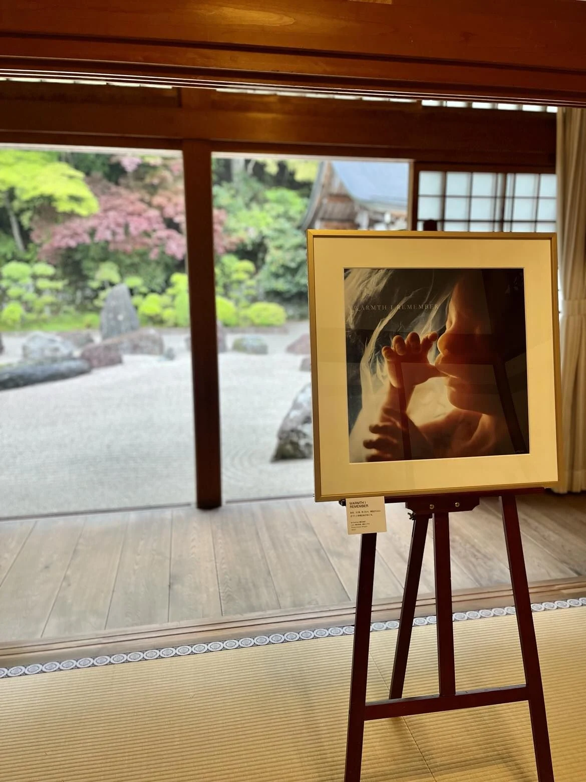 【いのち展】WARMTH I REMEMBER 「ぬくもりの記憶」Size:40cm×40cm