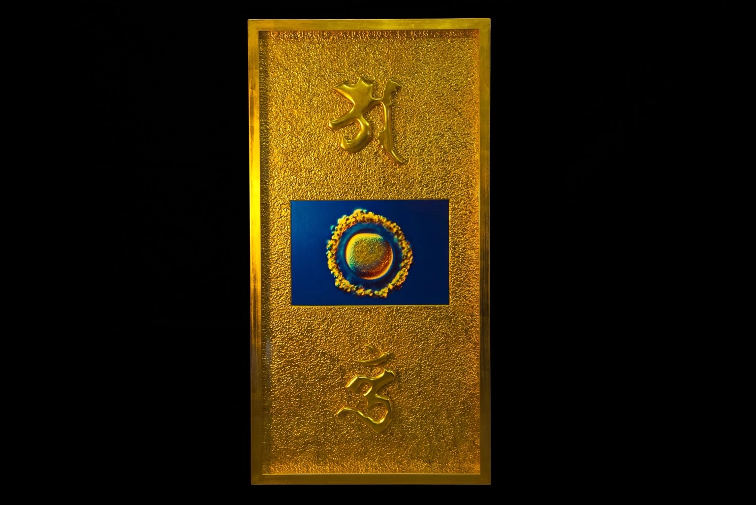 胎蔵界大日如来。金色の地に生命写真と阿・唵の梵字を重ねた縦長作品